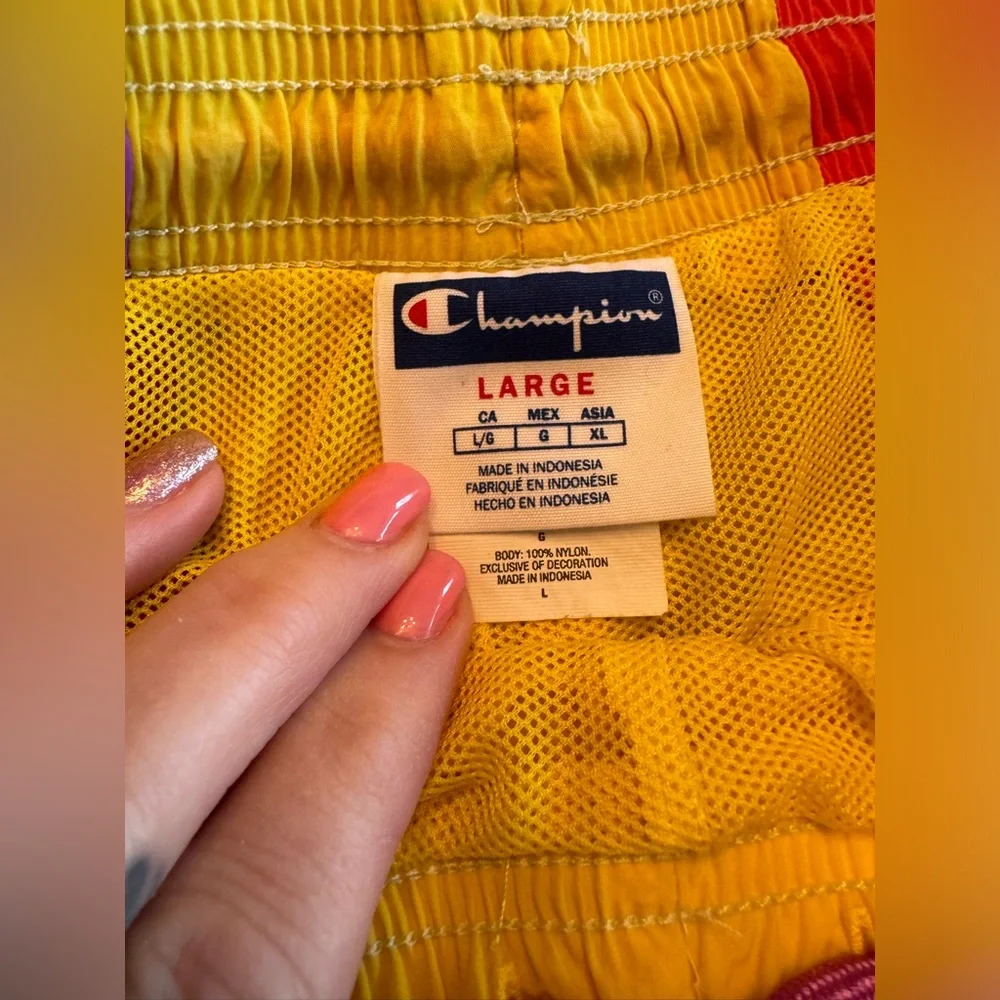 Champion men’s swimsuit